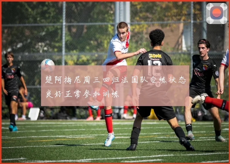 楚阿梅尼周三回归法国队合练状态良好正常参加训练