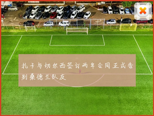 扎卡与切尔西签订两年合同正式告别桑德兰队友