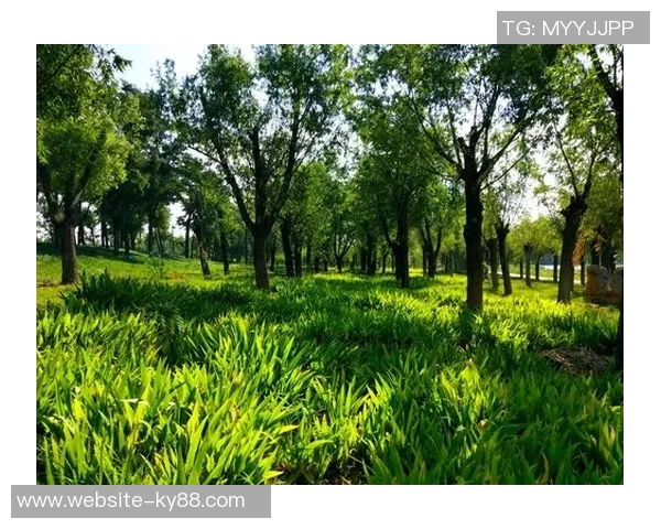 今日趣图：赢球才是未来的开始让我们一起期待精彩的比赛时刻